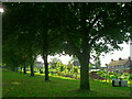 Recreation ground allotments and bordering trees, Haddenham