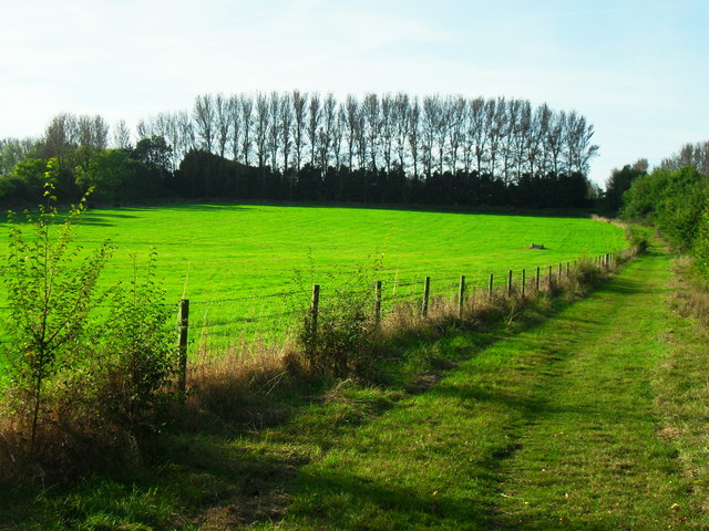 Fairchild's Meadow, Haddenham