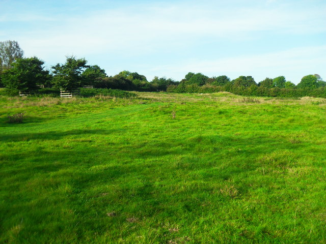 Pond Field, Haddenham