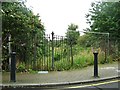 Allotment gardens, disused