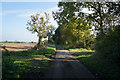 Church Field Lane towards Cross Lane