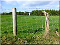 Faccary Townland