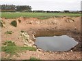 Marl pit at Elworthy Barrows