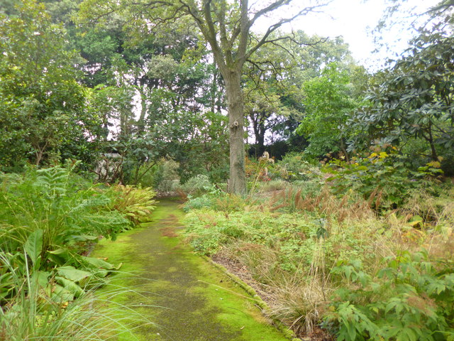 Knoll Gardens, path