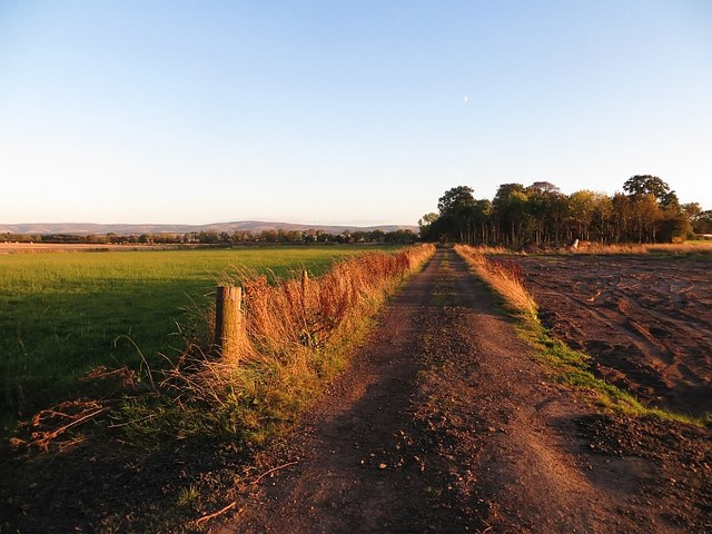 Farm road, Hodges