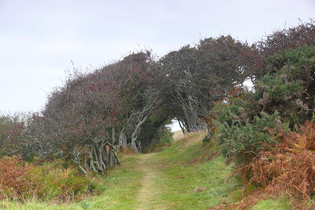 Llwybr Arfordir Ceredigion / Ceredigion Coast Path