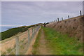 SN5676 : Llwybr Arfordir Ceredigion a Llwybr Arfordir Cymru / Ceredigion Coast Path and Wales Coast Path by Ian Medcalf