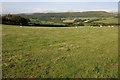 Grazing land near Tan-y-Fron