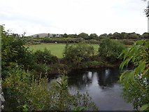 W0387 : River Flesk from the bridge by Ian Paterson