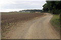 Bridleway towards the pig farm