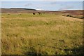 SH9461 : Upland grazing and heather moors by Philip Halling