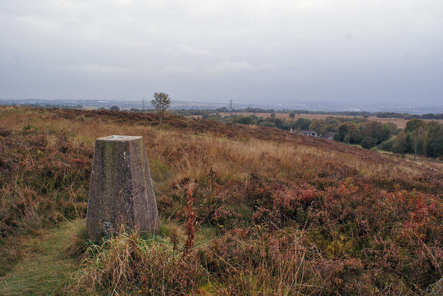 Wetley Moor trig point
