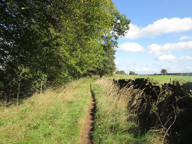 Bridleway east of Manywells Height