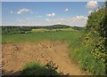 Field by Trewint Lane