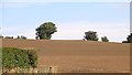 Newly tilled field, Ardownie