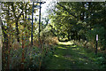 Path leading to Boroughbridge