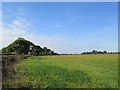 SJ6142 : Field near Burleydam by David Weston