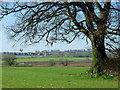 Farmland west of Catstree, Shropshire