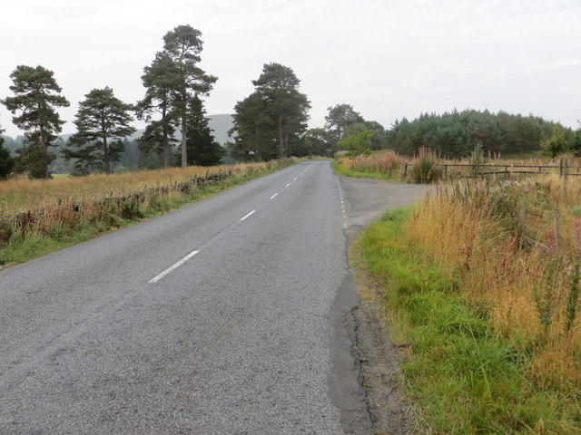 Road (B701) near Gala Burn Wood