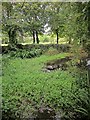 Pond by Chipping Sodbury Golf Club