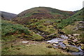 SE0806 : Confluence of Reap Hill Clough and Dean Clough by Bill Boaden