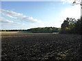 TF0626 : Field next to Callan's Lane Wood by Bob Harvey