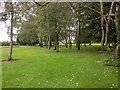 Trees, Chipping Sodbury Golf Club