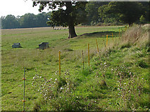 TQ0555 : Fields near Hungry Hill by Alan Hunt