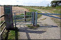 Path to Shocott Spring