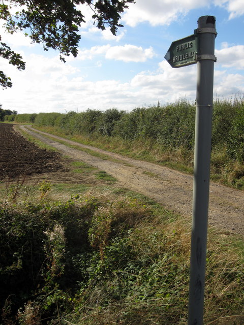 Bridleway to Cotton End