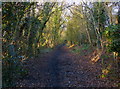 Whistle Way cycleway and footpath in Enderby