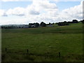 M8564 : Fields near Ardkeel House by Ian Paterson