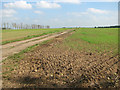 Footpath through fields