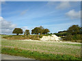 Old chalk pit