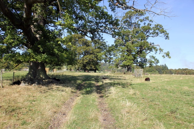 Footpath on the Chirk Castle Estate