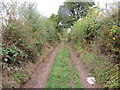 NY3253 : Bridleway at Parson's Thorn by Peter Wood