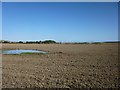 Farmland beside the railway