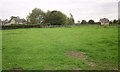 Pasture, Birch Grove Farm