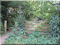 Track (bridleway) off Cawthorne  Lane