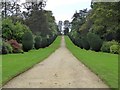 ST4917 : The western drive of Montacute House by David Smith