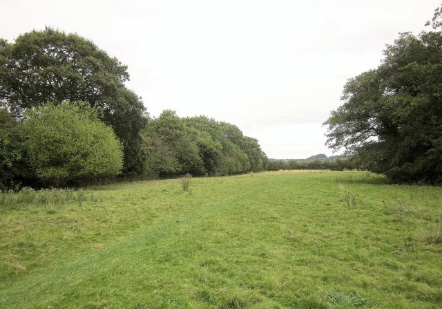 Frome Valley Walkway © Derek Harper Cc-by-sa 2.0 :: Geograph Britain 