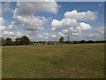 Farmland off Church Lane