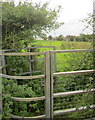 Kissing gate, Kingrove Common