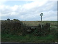 Footpath to Far Coates