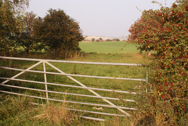 Farmland north of Luncarty