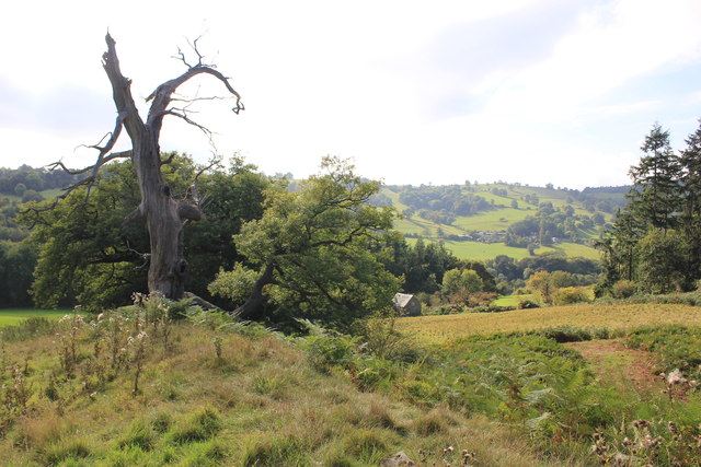 Offa's Dyke on the Chirk Castle Estate