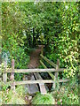 SU7123 : Footpath approaches North Stroud Lane from the west by Shazz