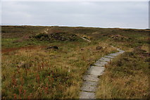 SE0704 : Paved path on Black hill by Bill Boaden