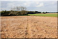 Footpath across field of stubble