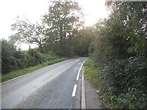 TQ0555 : Hungry Hill Lane, Ripley by David Howard